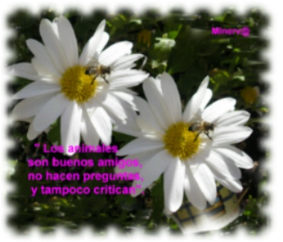 La vida es una comedia para el hombre que piensa y una tragedia para el hombre que siente.